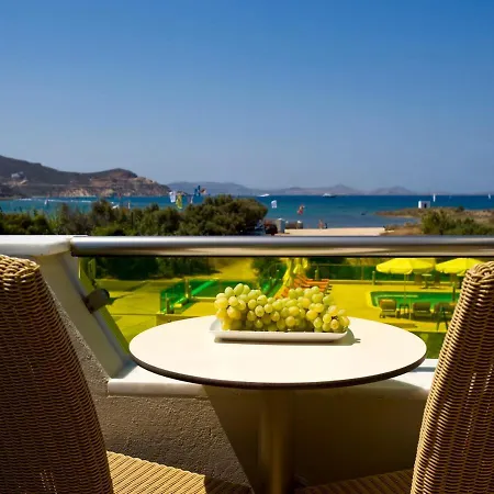 Hotel Princess Of Naxos 3*