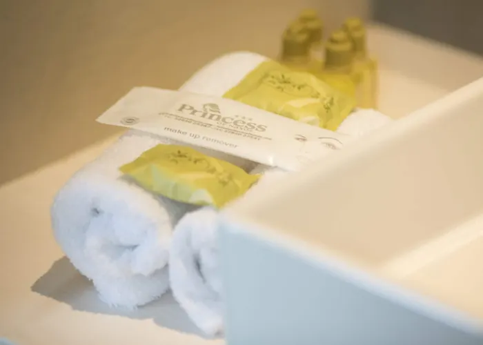 فندق Princess Of Naxos